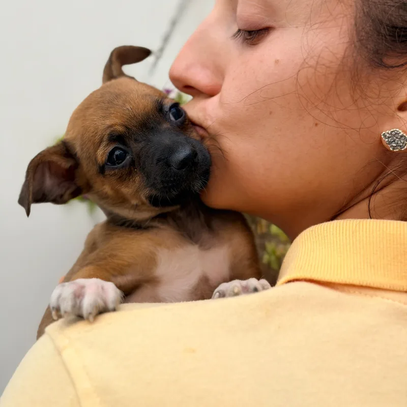 Pepa thumbnail 3