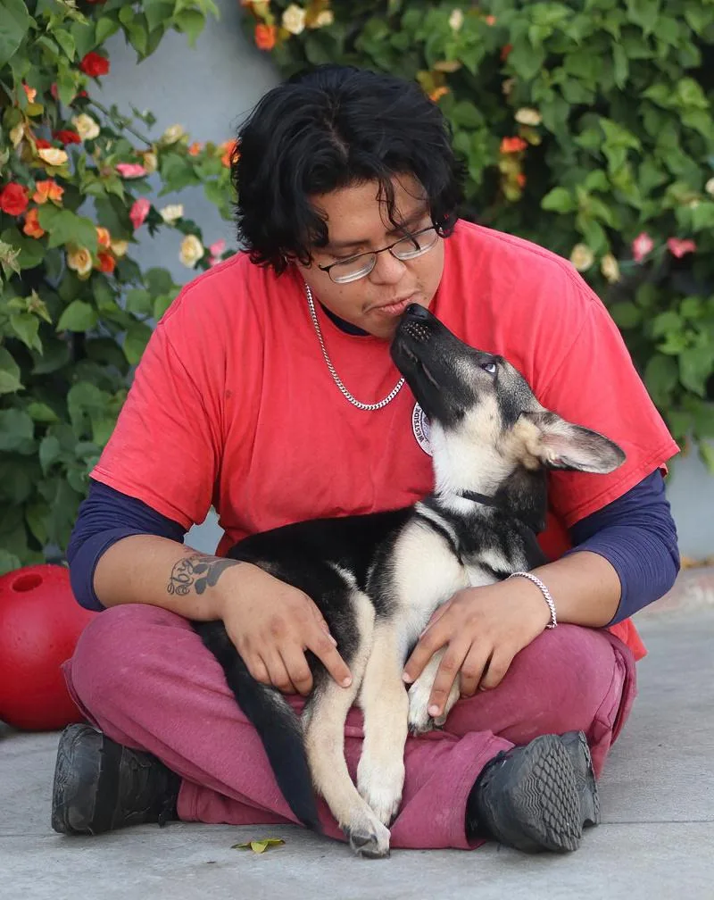 Bowie von Tanna thumbnail 2