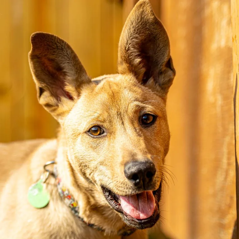 Brain Storm thumbnail 4