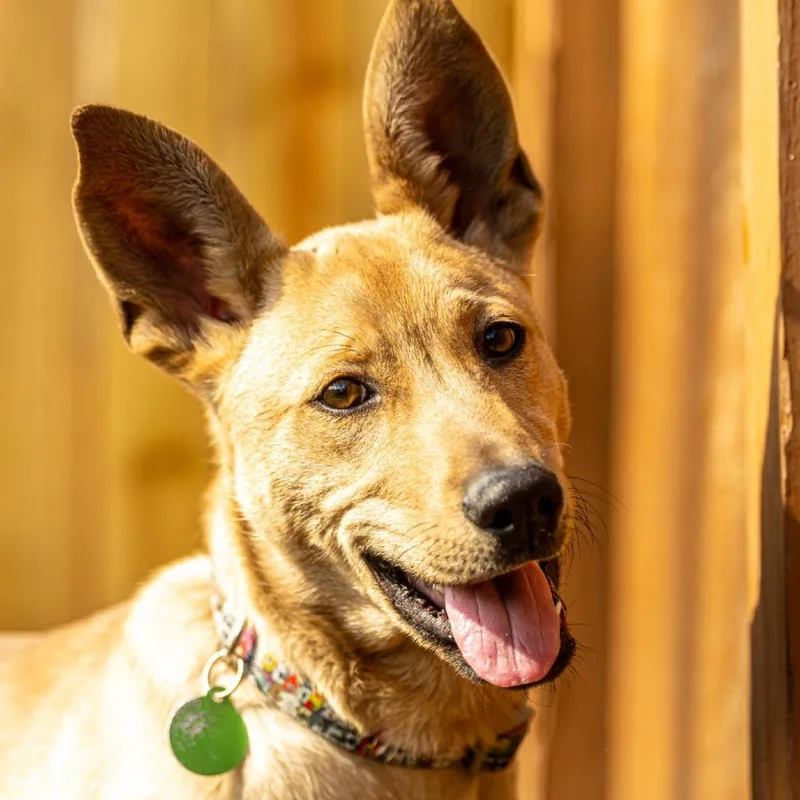 Brain Storm thumbnail 5