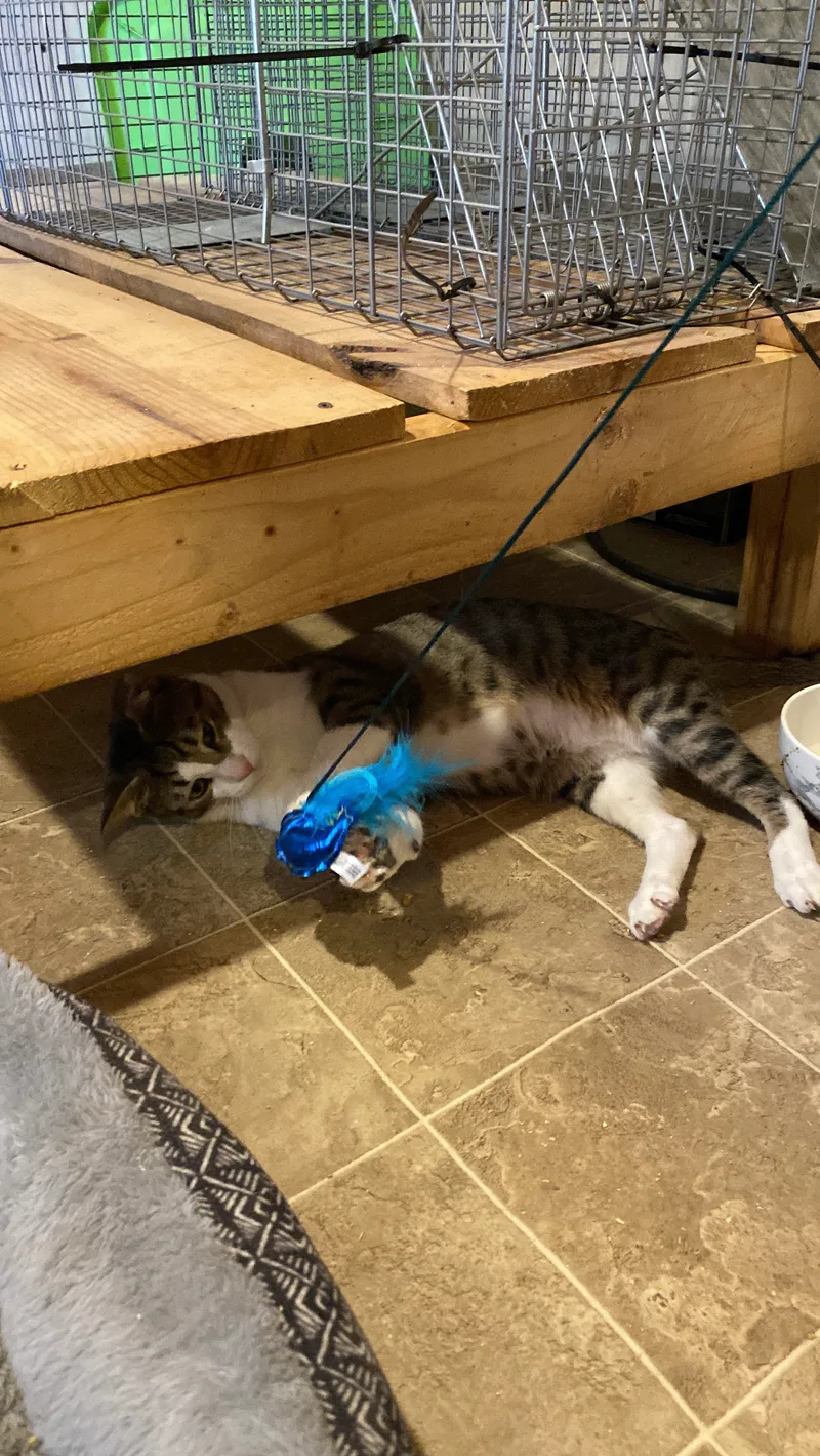 Friendly Boy thumbnail 2