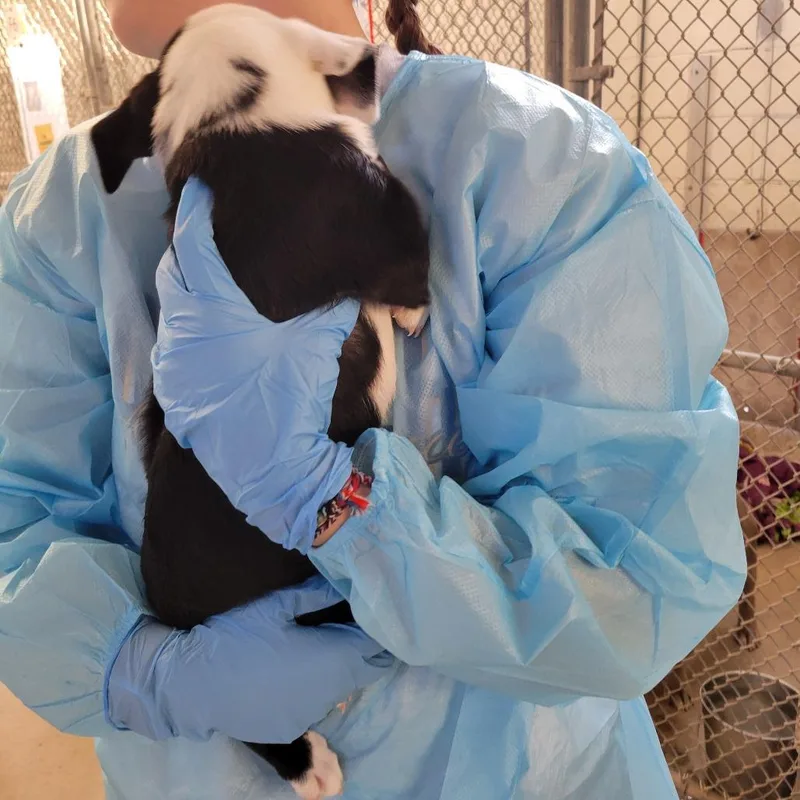 El Fka Penelope thumbnail 4