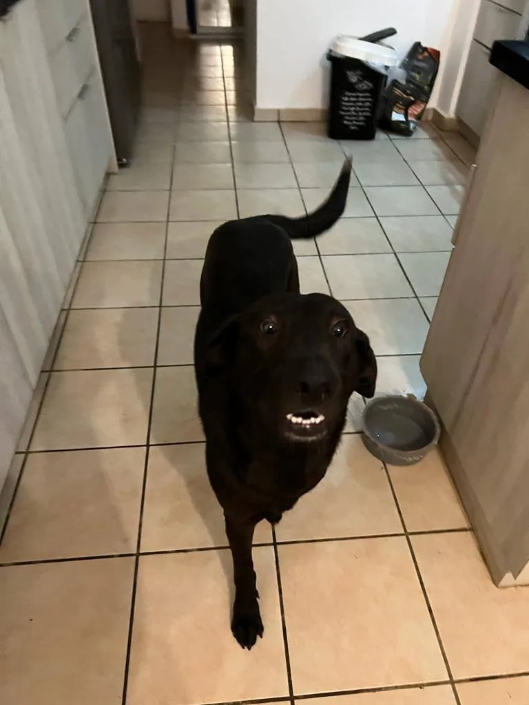 Dorito "let's Live Together thumbnail 2