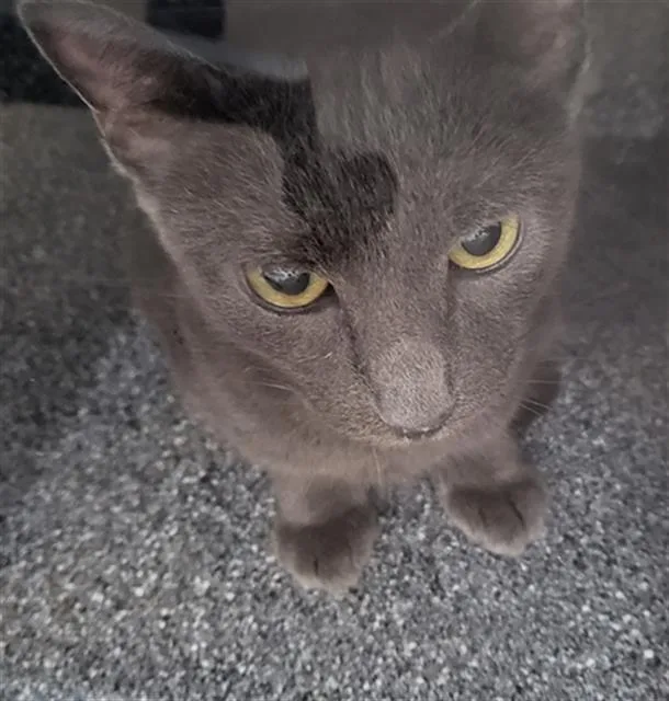 Heaven