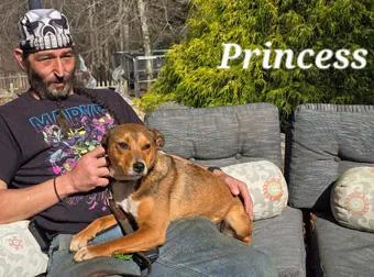 Princess thumbnail 4
