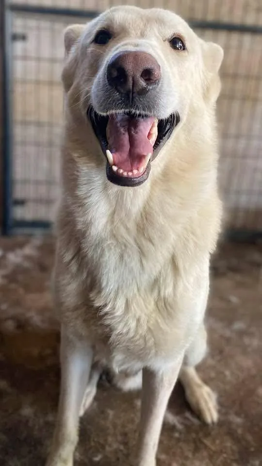 Ludwig Pc thumbnail 2