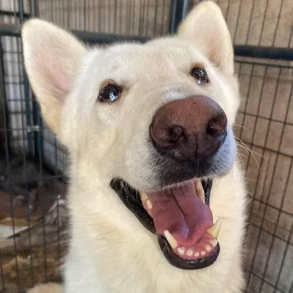 Ludwig Pc thumbnail 3