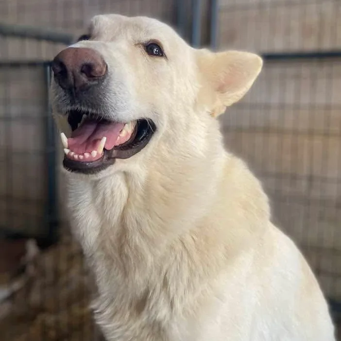 Ludwig Pc thumbnail 4