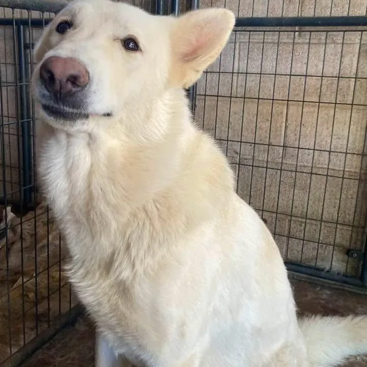 Ludwig Pc thumbnail 5