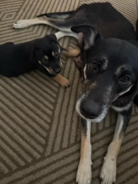 Mama Winifred thumbnail 2