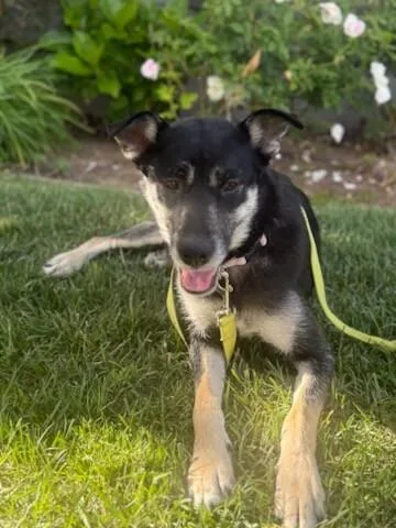 Mama Winifred thumbnail 5