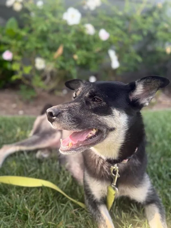 Mama Winifred thumbnail 6