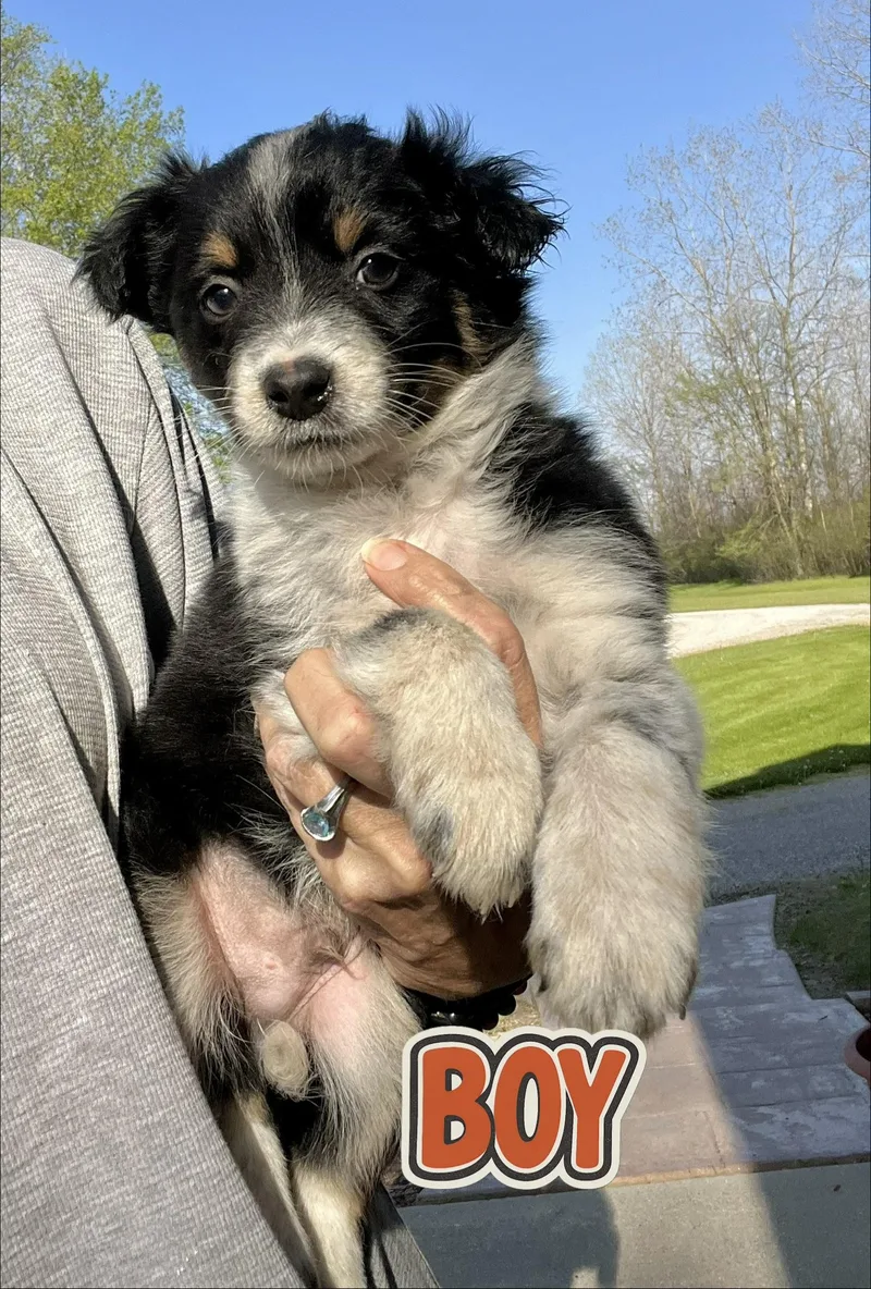 Levi And Lexi thumbnail 5