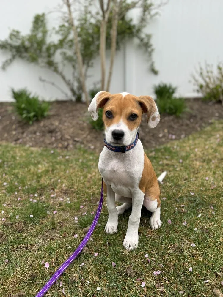 Freckles thumbnail 2