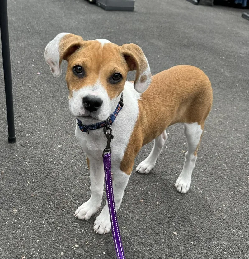 Freckles thumbnail 4