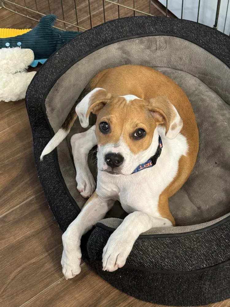 Freckles thumbnail 5