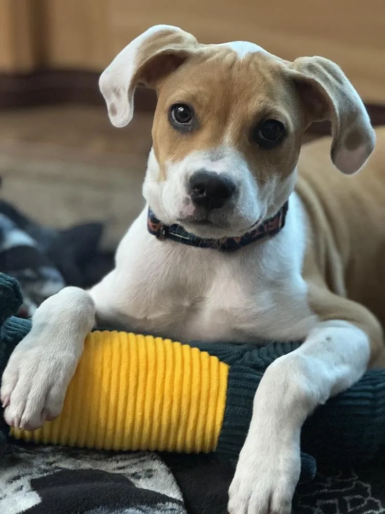 Freckles thumbnail 6