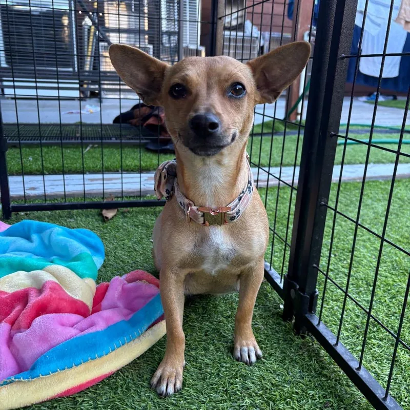 Samantha thumbnail 2