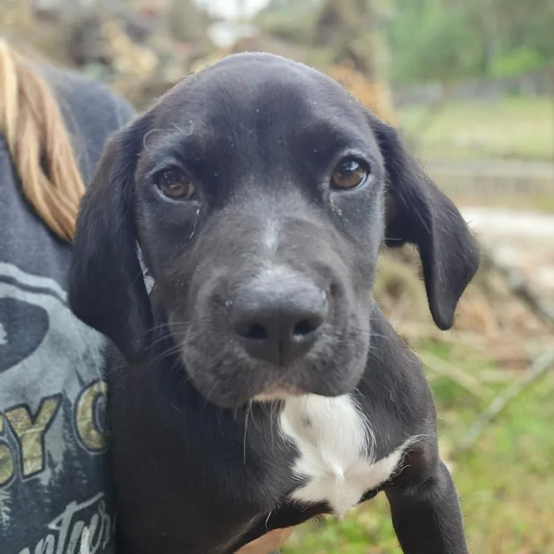 Caroline thumbnail 2