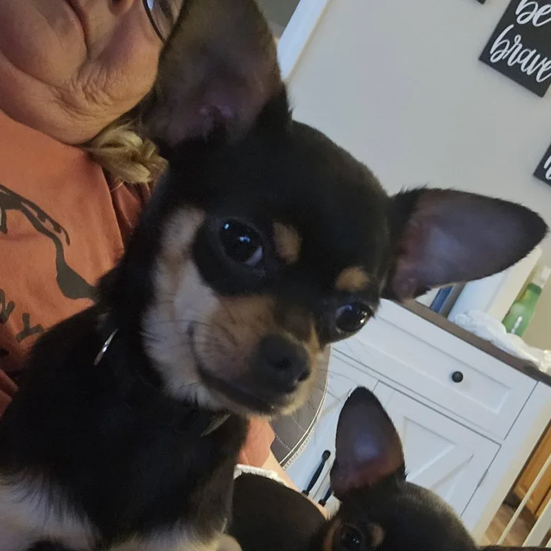 Paco thumbnail 2