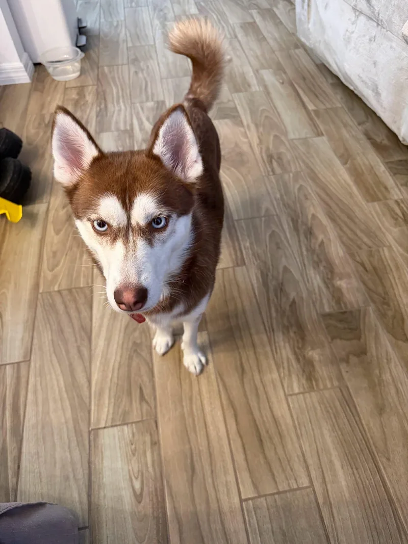 Bella thumbnail 3