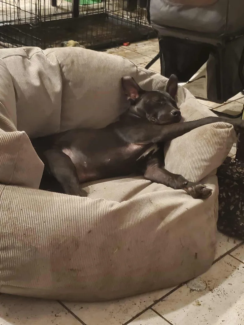 Lucy thumbnail 2