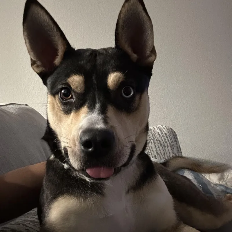 Riley thumbnail 5