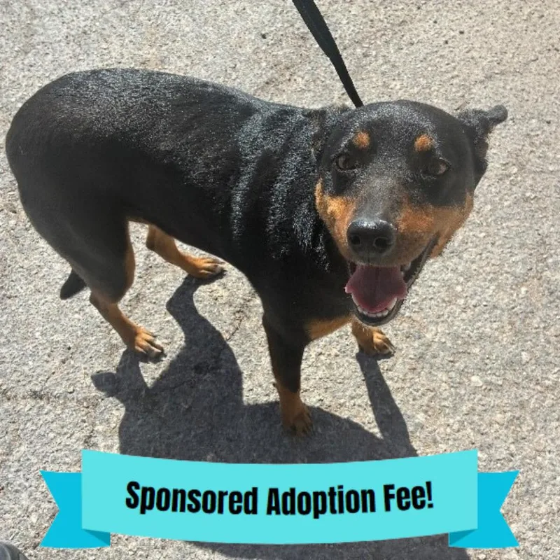 Traviesa thumbnail 2