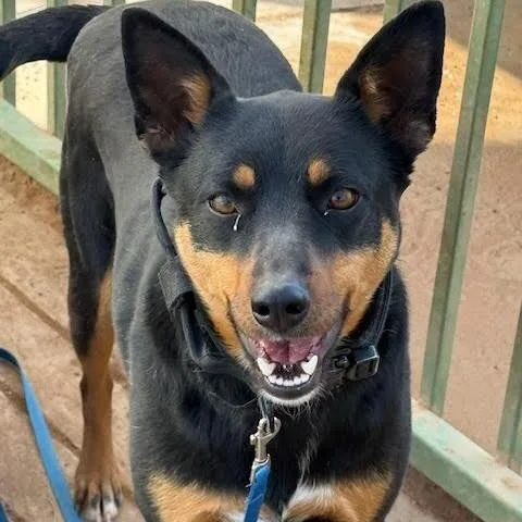 Traviesa thumbnail 3