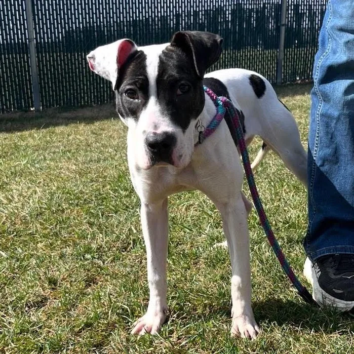 Addison @ Prison Training thumbnail 2