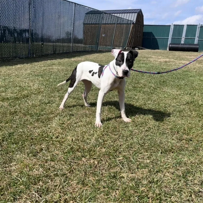 Addison @ Prison Training