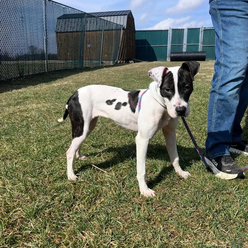 Addison @ Prison Training thumbnail 3