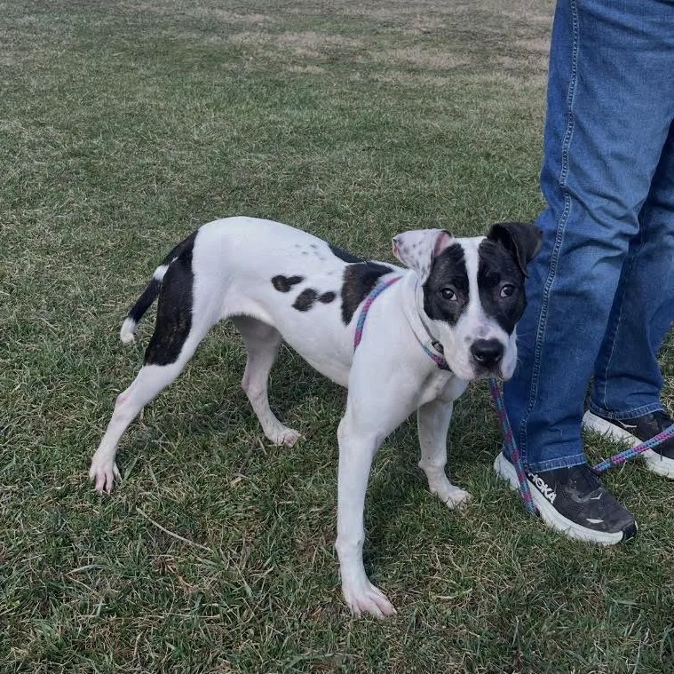 Addison @ Prison Training thumbnail 4