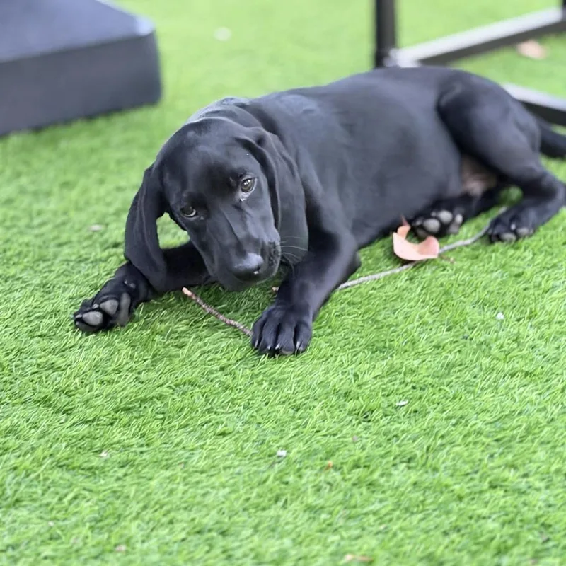 Randy Travis thumbnail 2