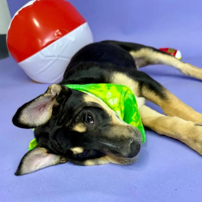 Rockport thumbnail 2