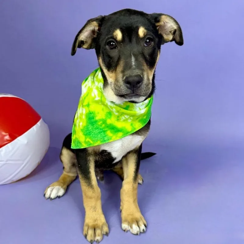 Rockport thumbnail 3