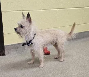 Hendrickson thumbnail 5