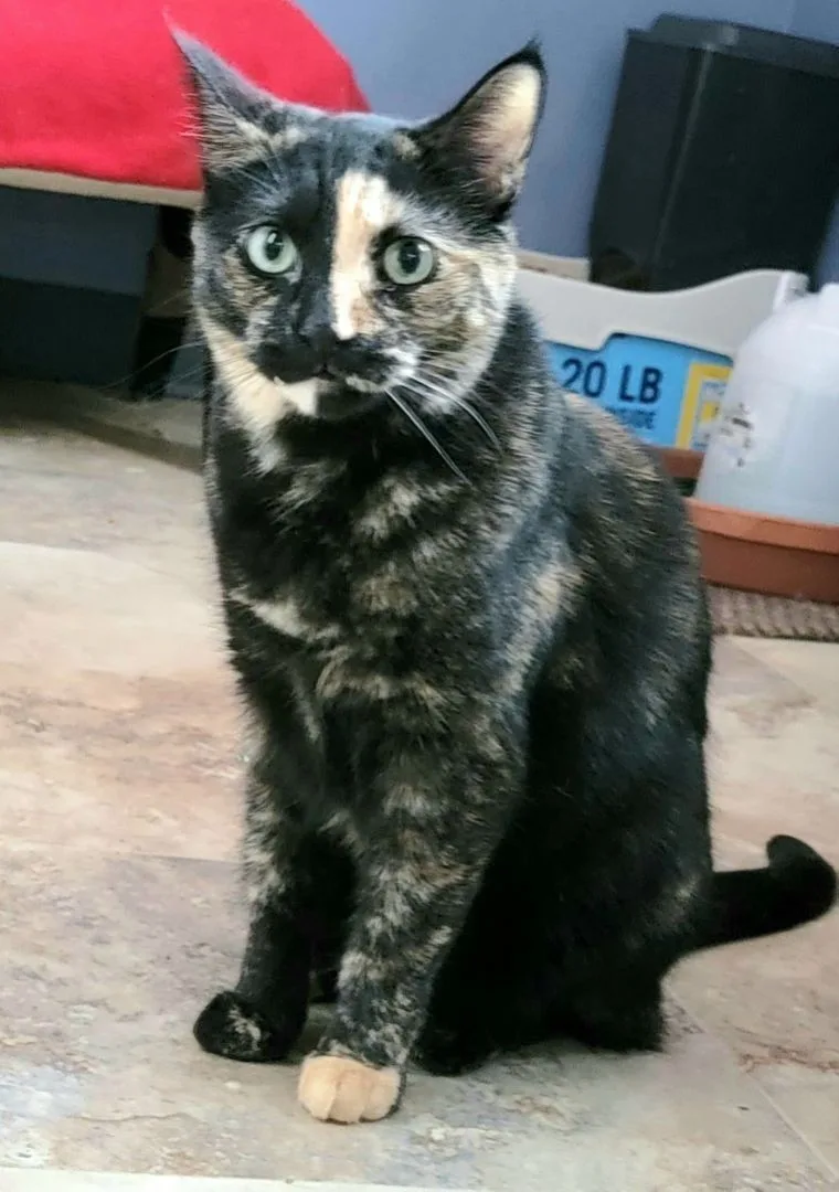 Della Delilah thumbnail 2