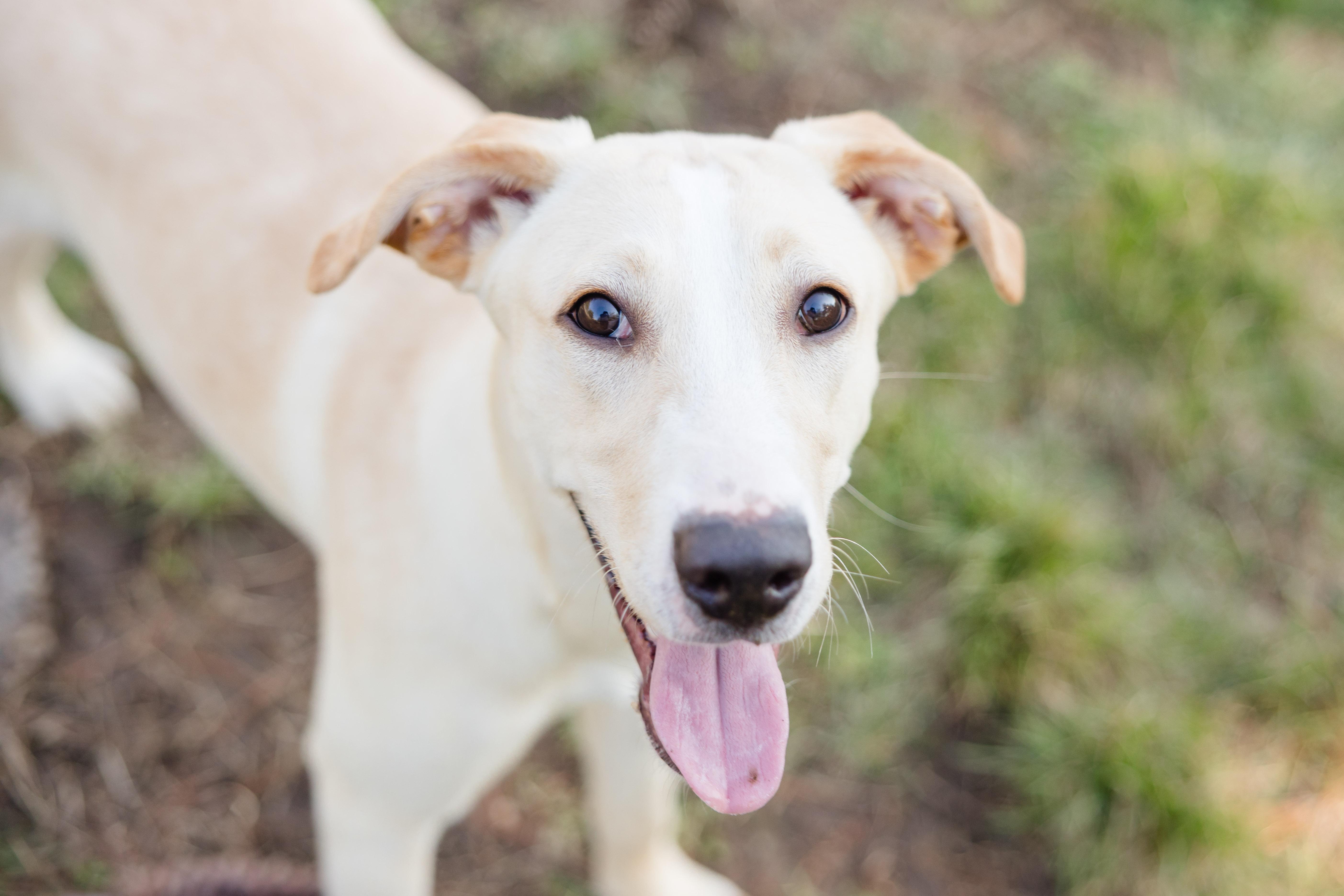 Daisy May thumbnail 2