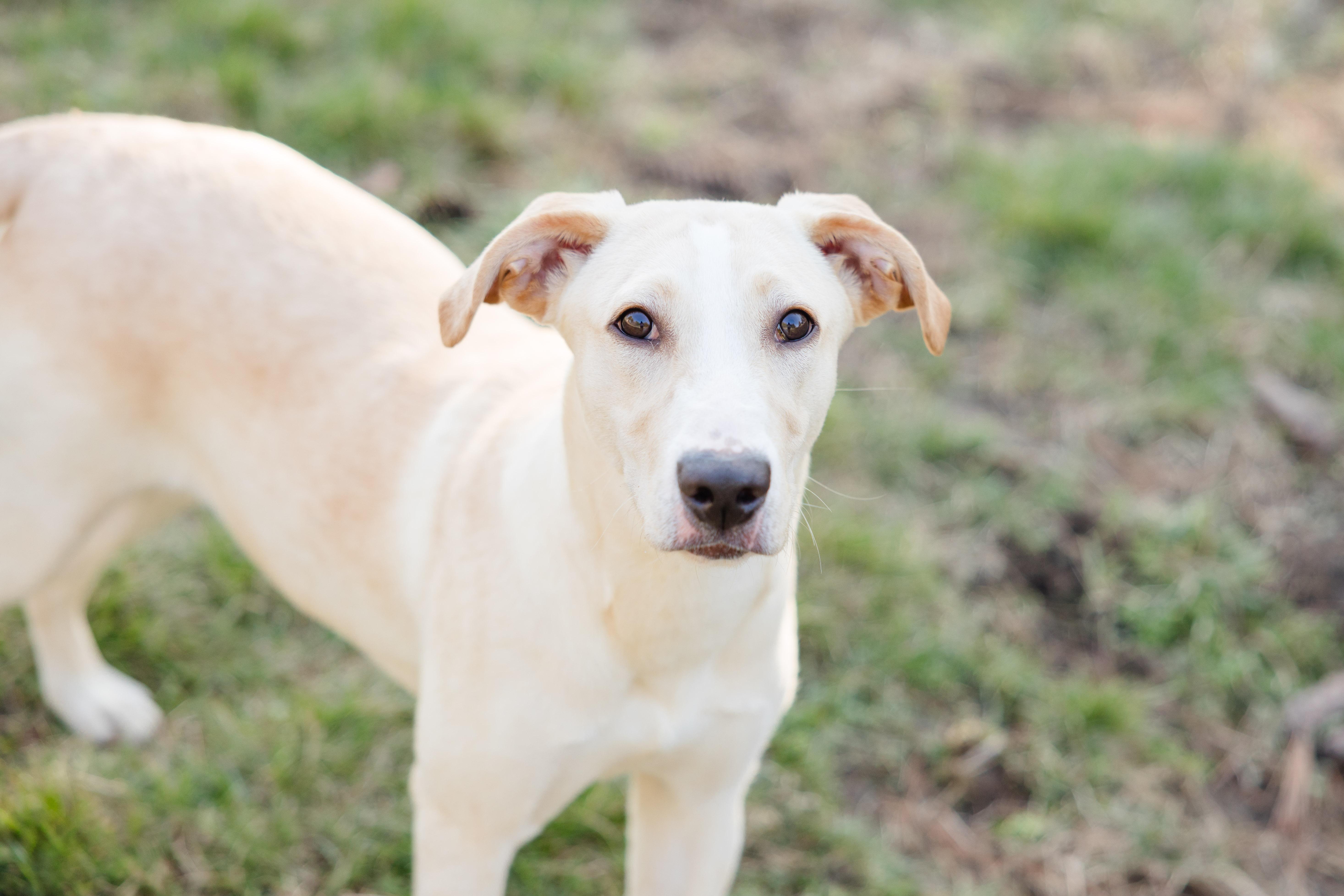 Daisy May thumbnail 4