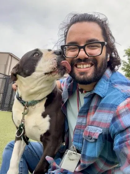 A senior extra large-sized male Brown / Chocolate Mixed Breed dog named Duke for adoption in Wichita, KS