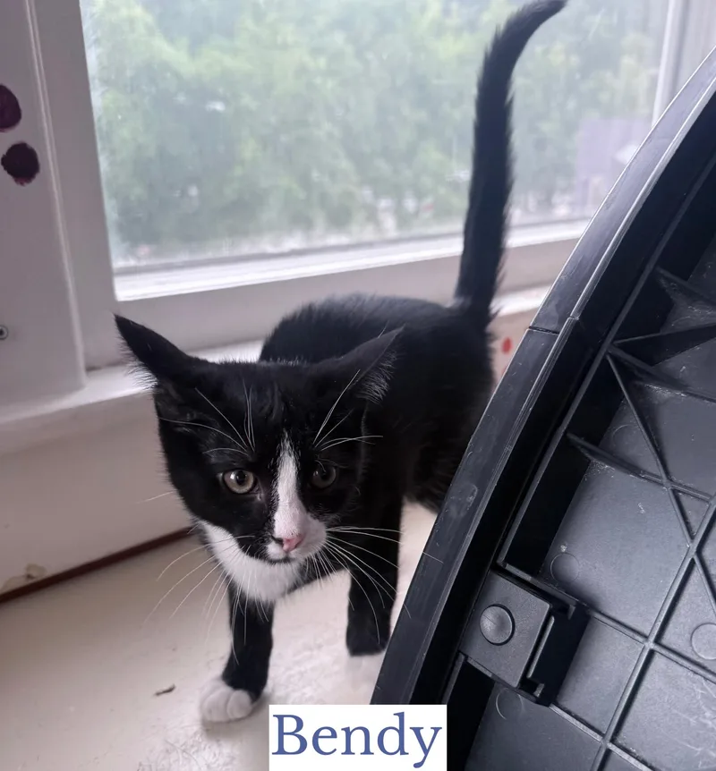 Bendy