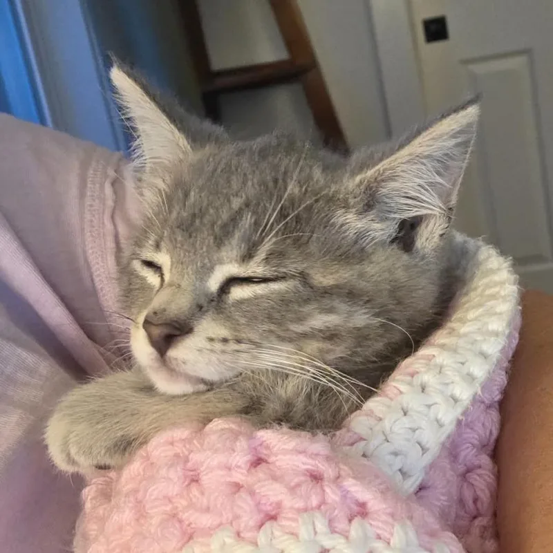 Benny