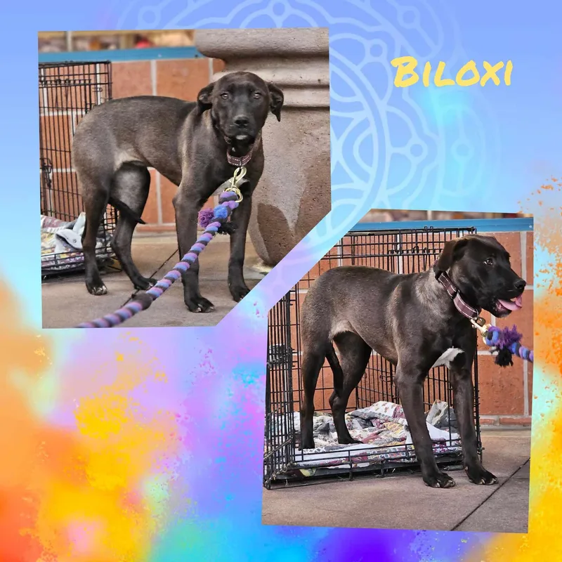 Biloxi