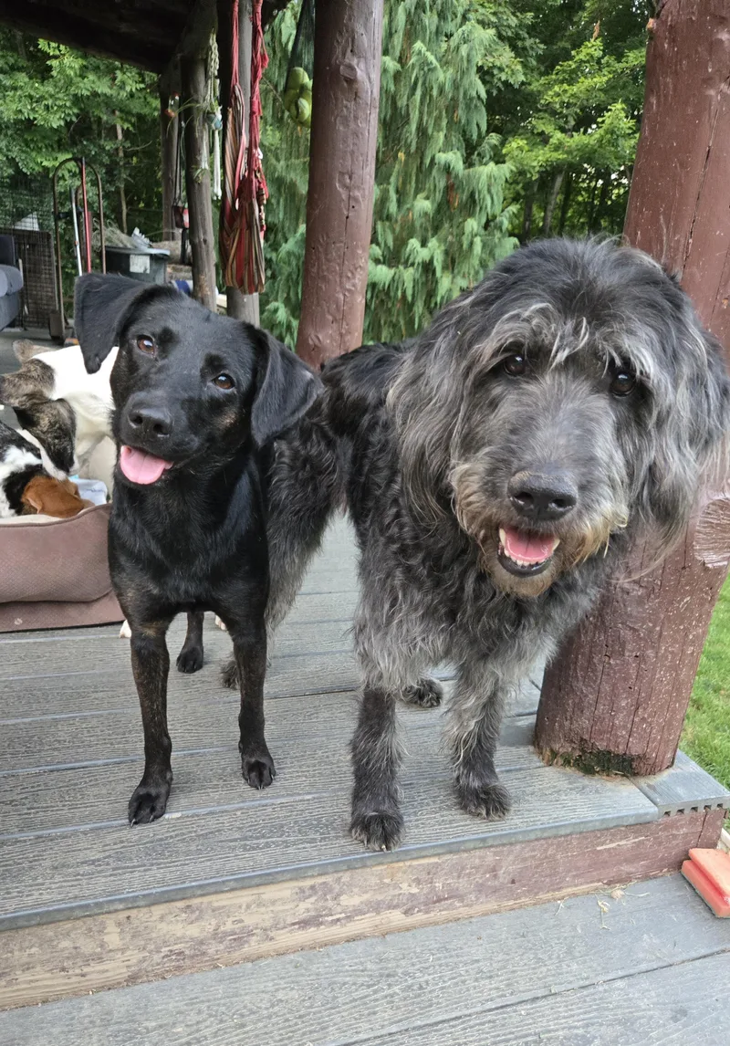 Pebbles Hadsell thumbnail 2