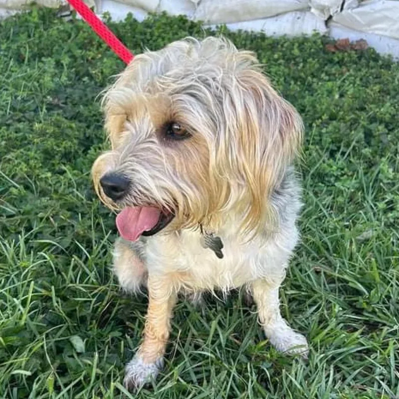 Deeohgee thumbnail 2