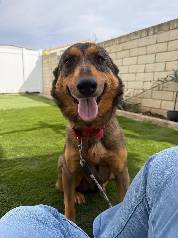 Mama Shayla thumbnail 2