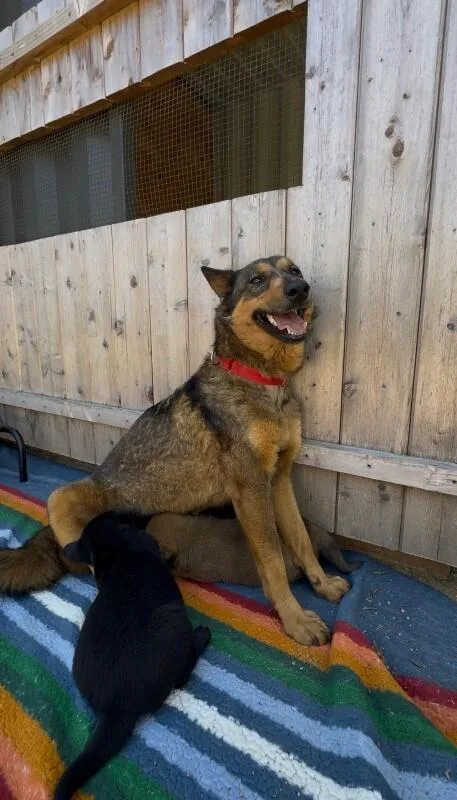 Mama Shayla thumbnail 3