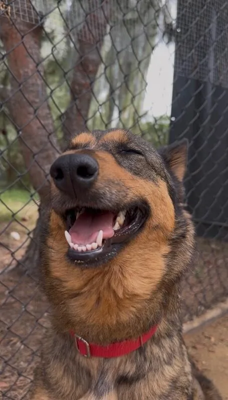 Mama Shayla thumbnail 4