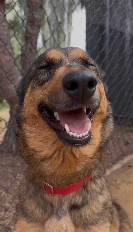 Mama Shayla thumbnail 5